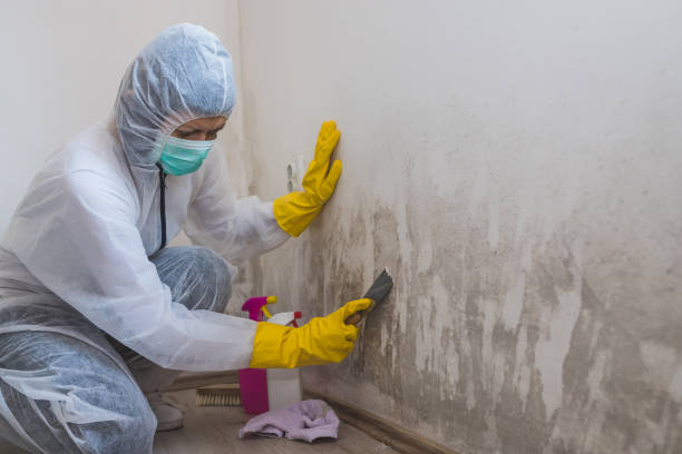 Mold Remediation for Vacation Homes in Oceano, CA